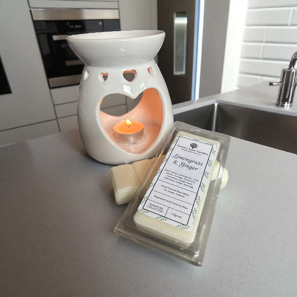 Lemongrass & Ginger Wax Melts