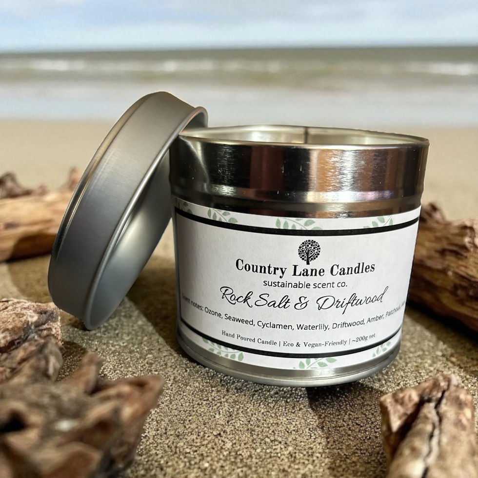 Rock Salt and Driftwood Candle