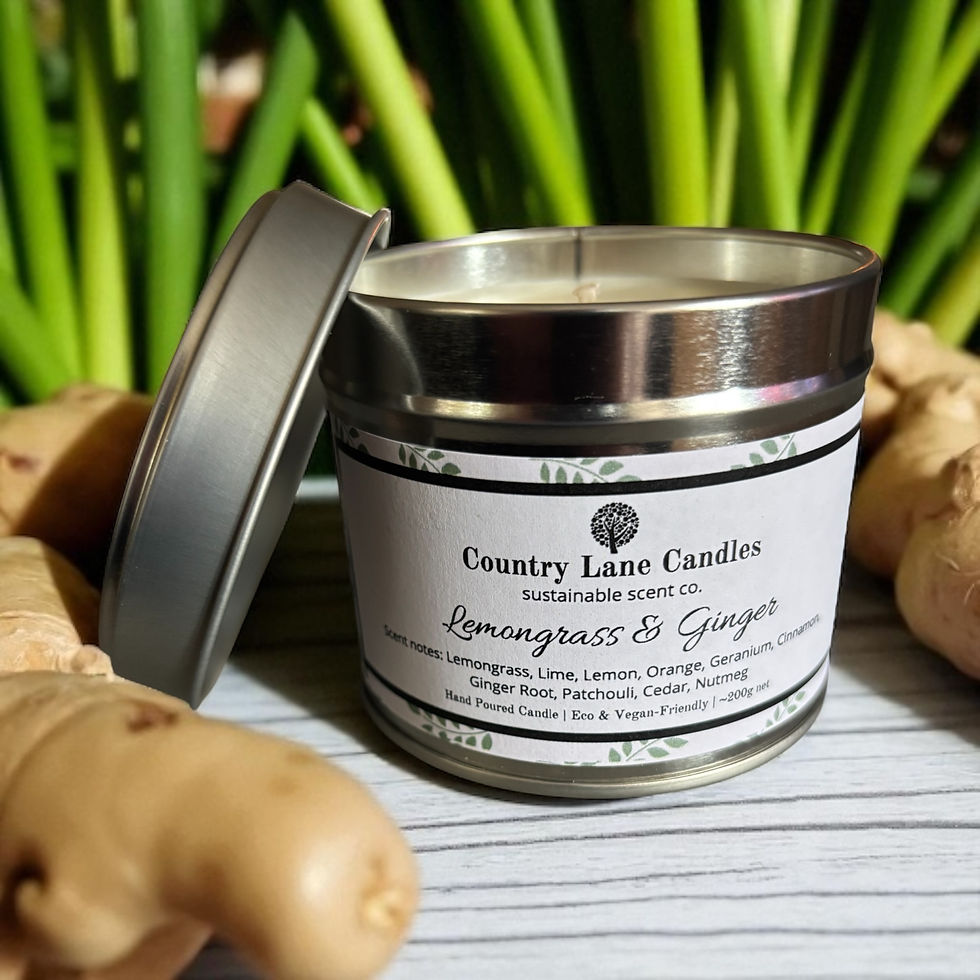Lemongrass & Ginger Candle