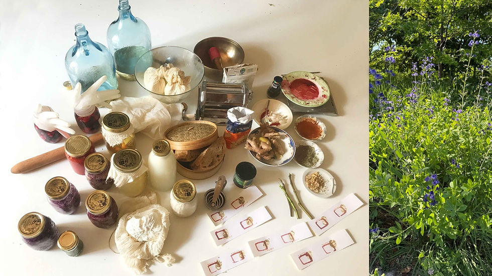 The Microflora Community Tea Party