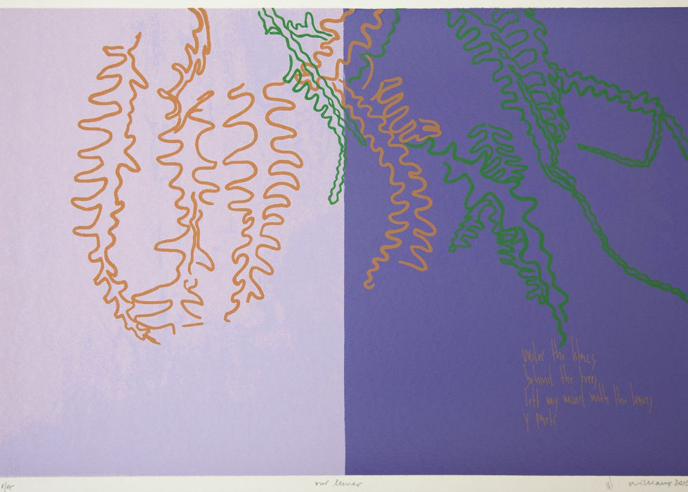 Armando Williams arte