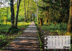 BS fotomedia Mediengestaltung Peissenberg