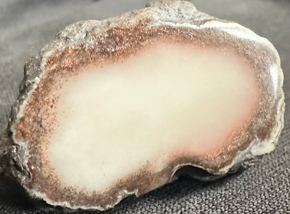 Thumbnail: Colorful Datolite w Thick Copper-Included Banding - Ridge Mine, Ont. Co Michigan