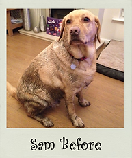 Sam Before.png