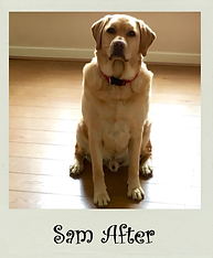 Sam After.png