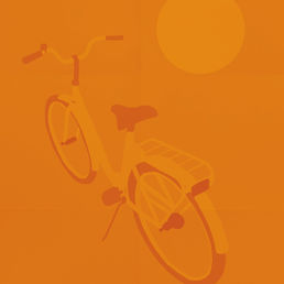 Bike_edited_edited.jpg