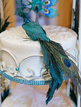 Laura and Freddy (1008 of 446).jpg