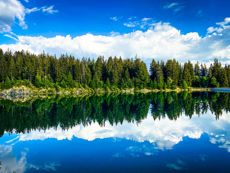 WORKING DIGITAL, AMONG NATURE