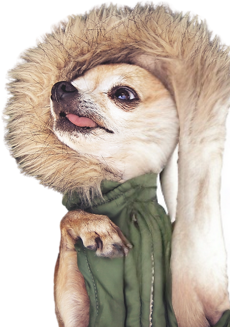 WIX TEMPALTE (17).png