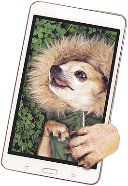 WIX TEMPALTE (16).png