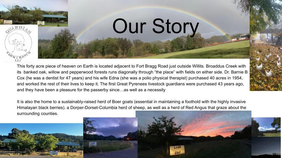 Ranch history withbreathtaking pastoral photos