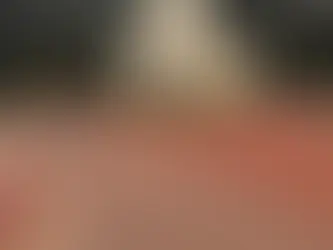 Welcome to the Nilgiris!!