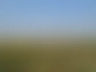 First Visit to Punjab!!