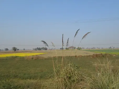 First Visit to Punjab!!