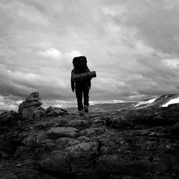 The Lonesome Traveller