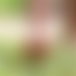 BAREFOOT WALKING: 7 Benefits of Grounding Your Feet