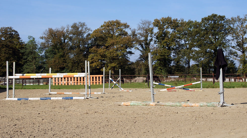 Springtuin