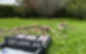 AG Snow & Stump removal - yard work - tree felled with chain saw, in pieces in green yard with trees