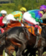 racetrack-4052272_1280.jpg