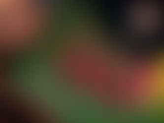 PH365: Your Ultimate Guide to a Leading Online Casino Platform