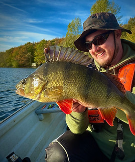 Lincs angler perch