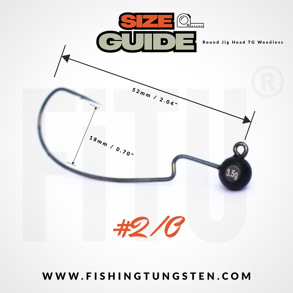 Miniaturbild: WS FiTU Round Jig Head Weedless TG