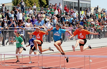 hurdles.jpg