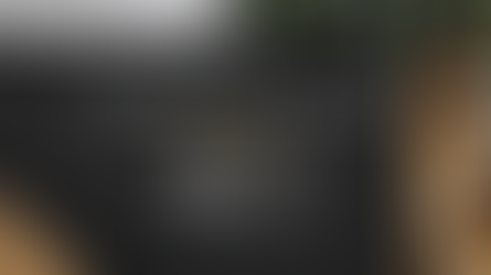 Vine Group Executive Market Commentary December 2022