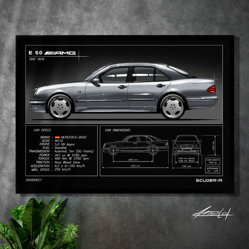 QUADRO DECORATIVO MERCEDES-BENZ E50 AMG W210 - DATA SHEET