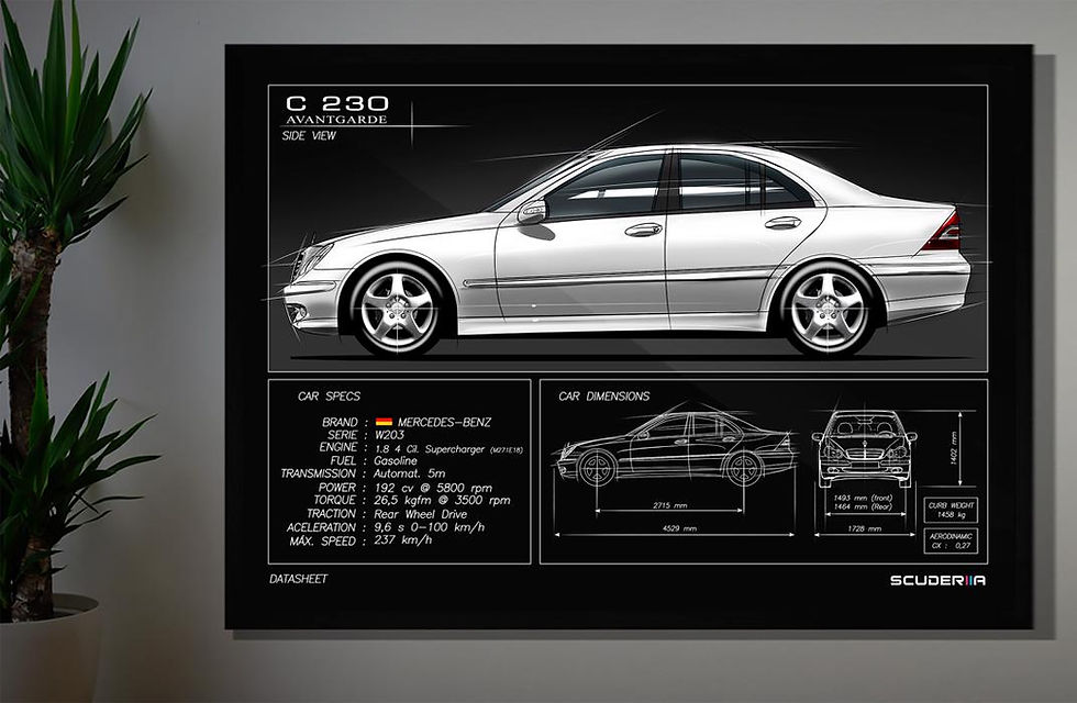 Miniatura: QUADRO DECORATIVO MERCEDES-BENZ C 230 AVANTGARD 1.8 (W203) - DATA SHEET