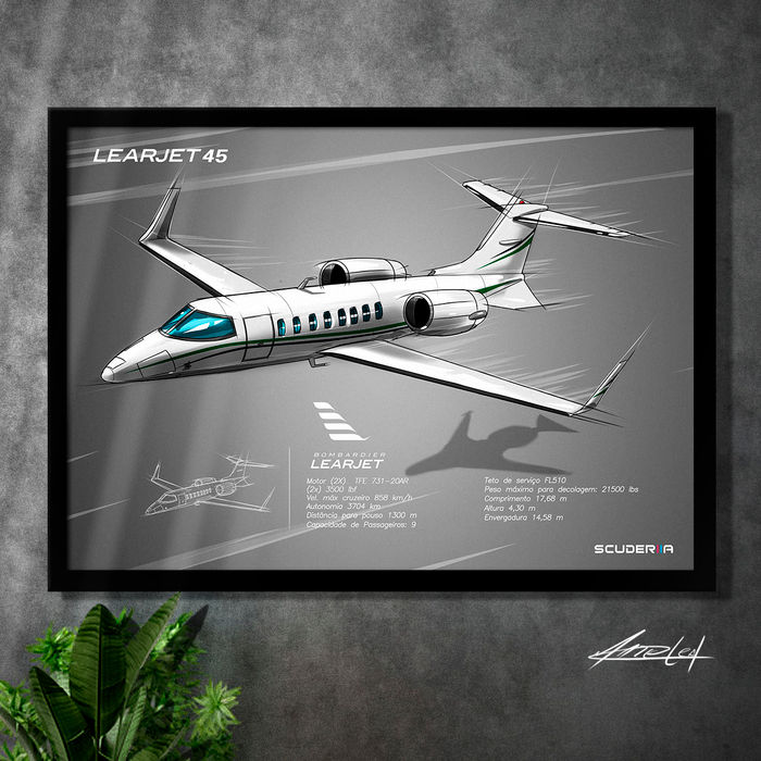 Miniatura: QUADRO DECORATIVO AVIÃO BOMBARDIER LEARJET 45 - CLIMB
