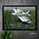 Thumbnail: QUADRO DECORATIVO AVIÃO EMBRAER IPANEMA EMB-203 AGRÍCOLA - CLIMB PULVERIZADOR AUTOPROPELIDO ASA AERONAVE BRASILEIRA