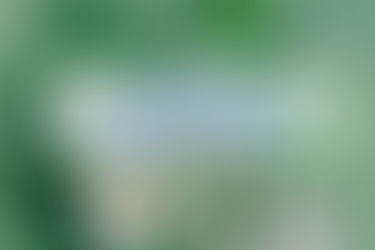 Happy Pharmacist's Day!