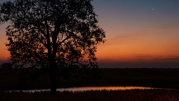 Hat 6 East-web-23.jpg