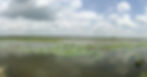 Sulphur Bluff Ranch