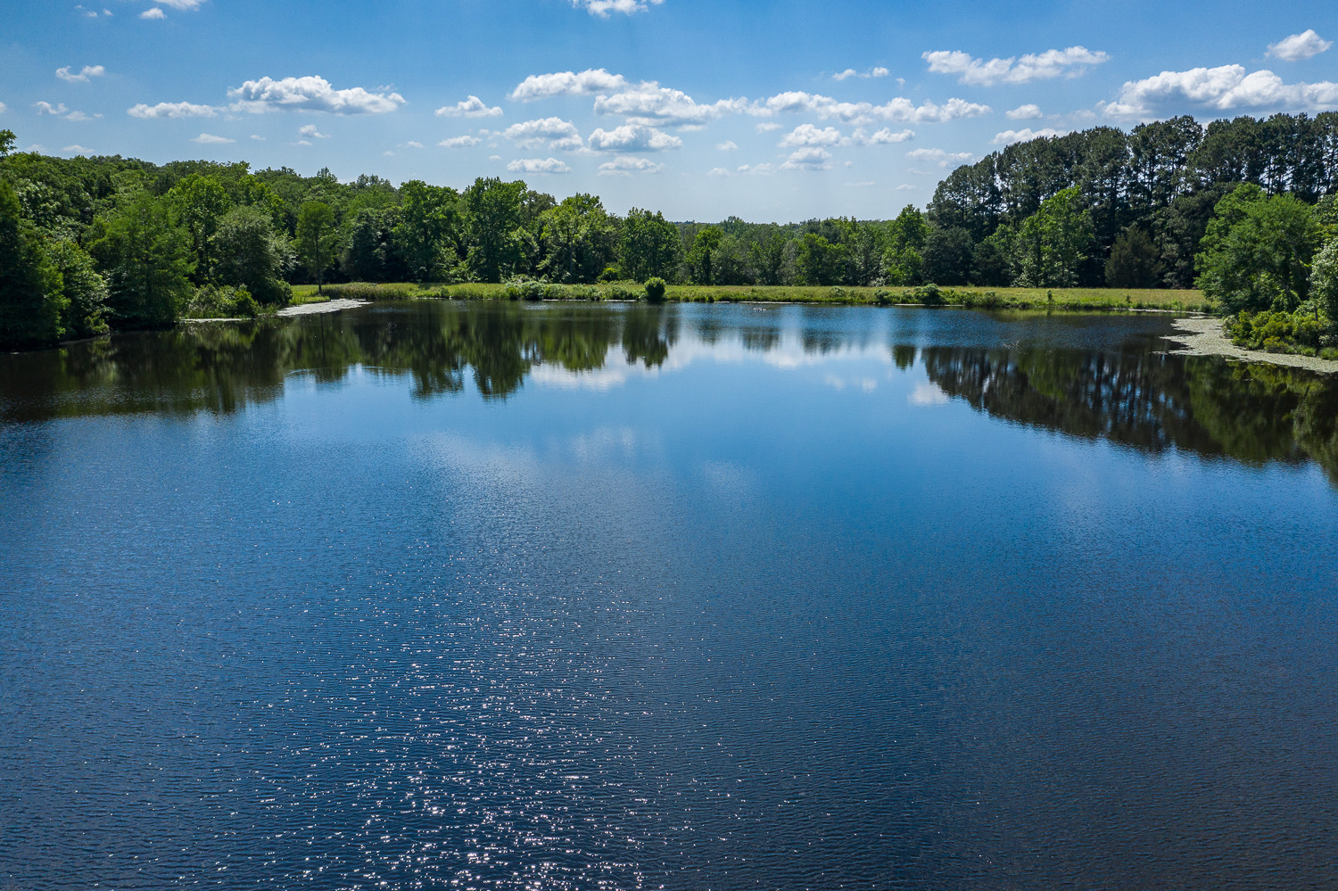 iconglobal Fincastle