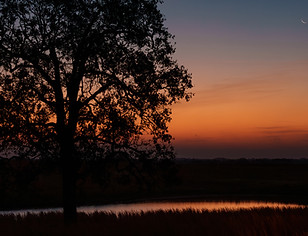 Hat 6 East-web-23.jpg