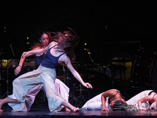 Getting under a dancer’s skin - brutal regimes and unambiguous love