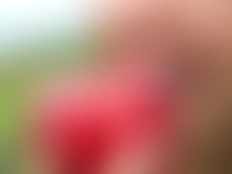 5 ALIMENTOS QUE AJUDAM A PREVENIR AS CÁRIES