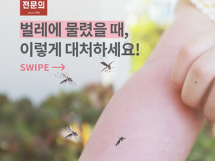 벌레에 물렸을 때 대처방법은?