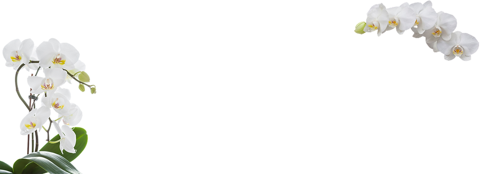 Banner-final.png