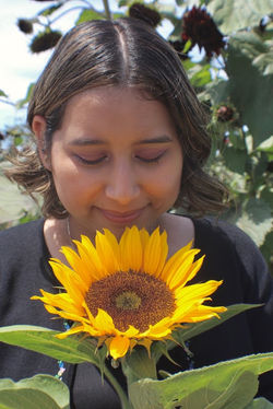 sunflowerand me