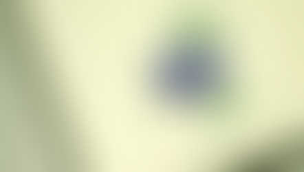 新しい懐紙の習慣