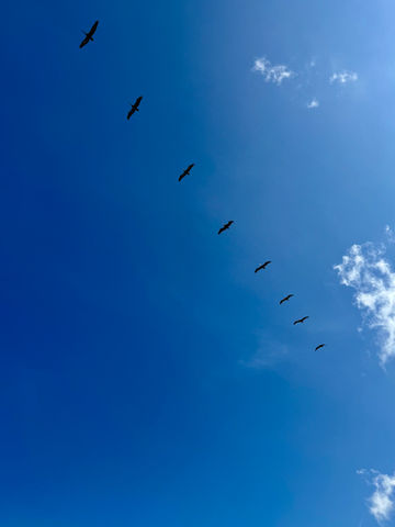 Palomino, Guajira (2025)