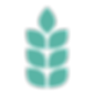 Farm Logo 8_edited_edited_edited.png