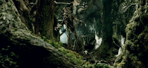 ents.gif