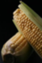 Corn Close-Up