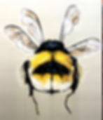 Hummel