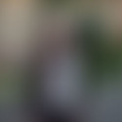 ✨ Teamvorstellung ✨