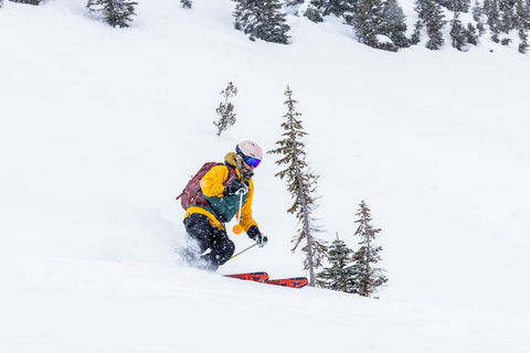 A woman in a yellow and green ski jacket, skiing past some small fern trees in powder snow. 